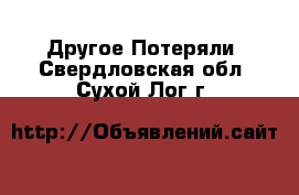 Другое Потеряли. Свердловская обл.,Сухой Лог г.